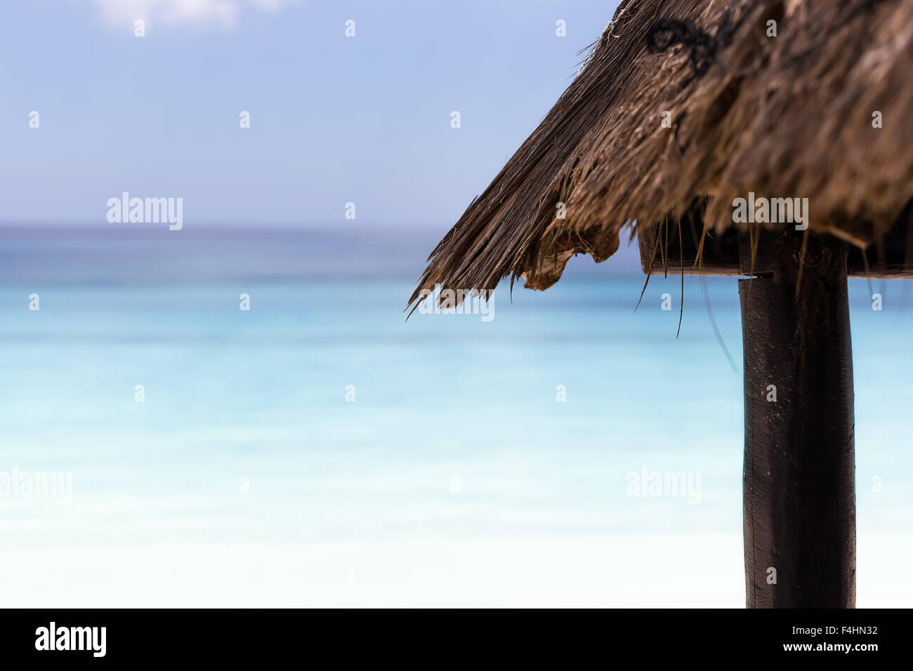 Palm feuilles parasol avec arrière-plan de la mer des Caraïbes Banque D'Images