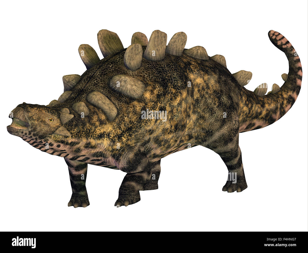 Crichtonsaurus était un blindé lourdement l'Ankylosaurus qui vivait dans le crétacé de Chine. Banque D'Images