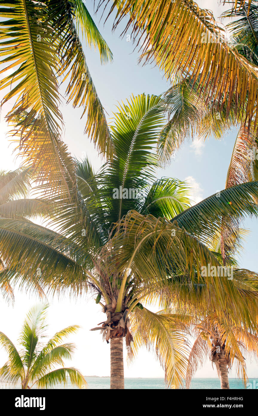 La plage principale d'Isla Mujeres, une île au large de Cancun, Quintana Roo, Mexique. Banque D'Images