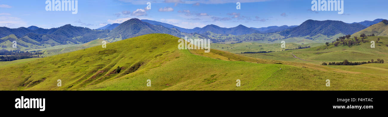 L'agriculture verte pâturage de l'Australie près de Cobark à Barrington Tops, NSW, sur une journée ensoleillée Banque D'Images