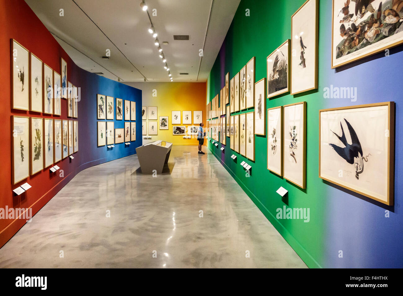 Miami Florida, Miami-Dade Cultural Center, centre, HistoriyMiami Museum, histoire locale, intérieur intérieur, exposition collection le John Jame complet Banque D'Images