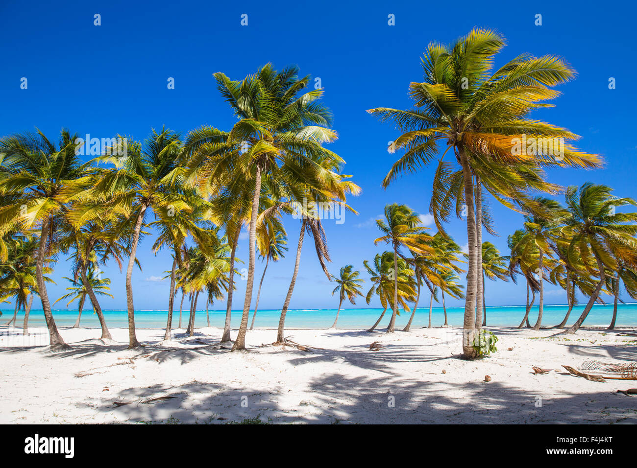 Plage de Cap Cana, Punta Cana, République dominicaine, Antilles, Caraïbes, Amérique Centrale Banque D'Images