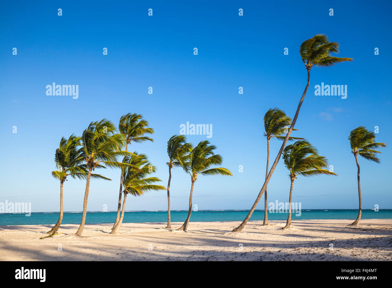 Juanillo Beach, Cap Cana, Punta Cana, République dominicaine, Antilles, Caraïbes, Amérique Centrale Banque D'Images