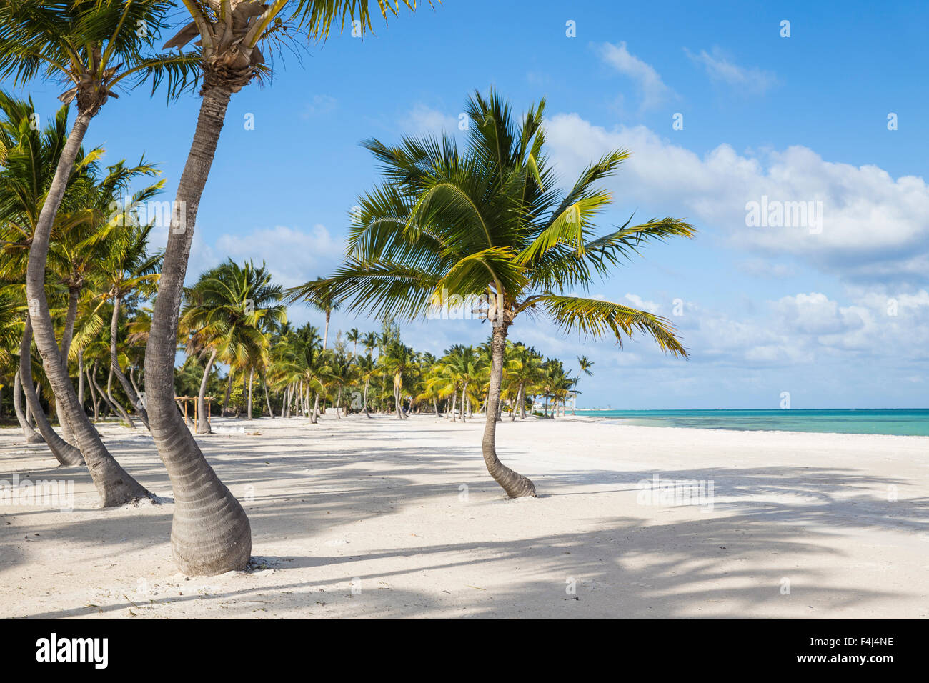 Juanillo Beach, Cap Cana, Punta Cana, République dominicaine, Antilles, Caraïbes, Amérique Centrale Banque D'Images