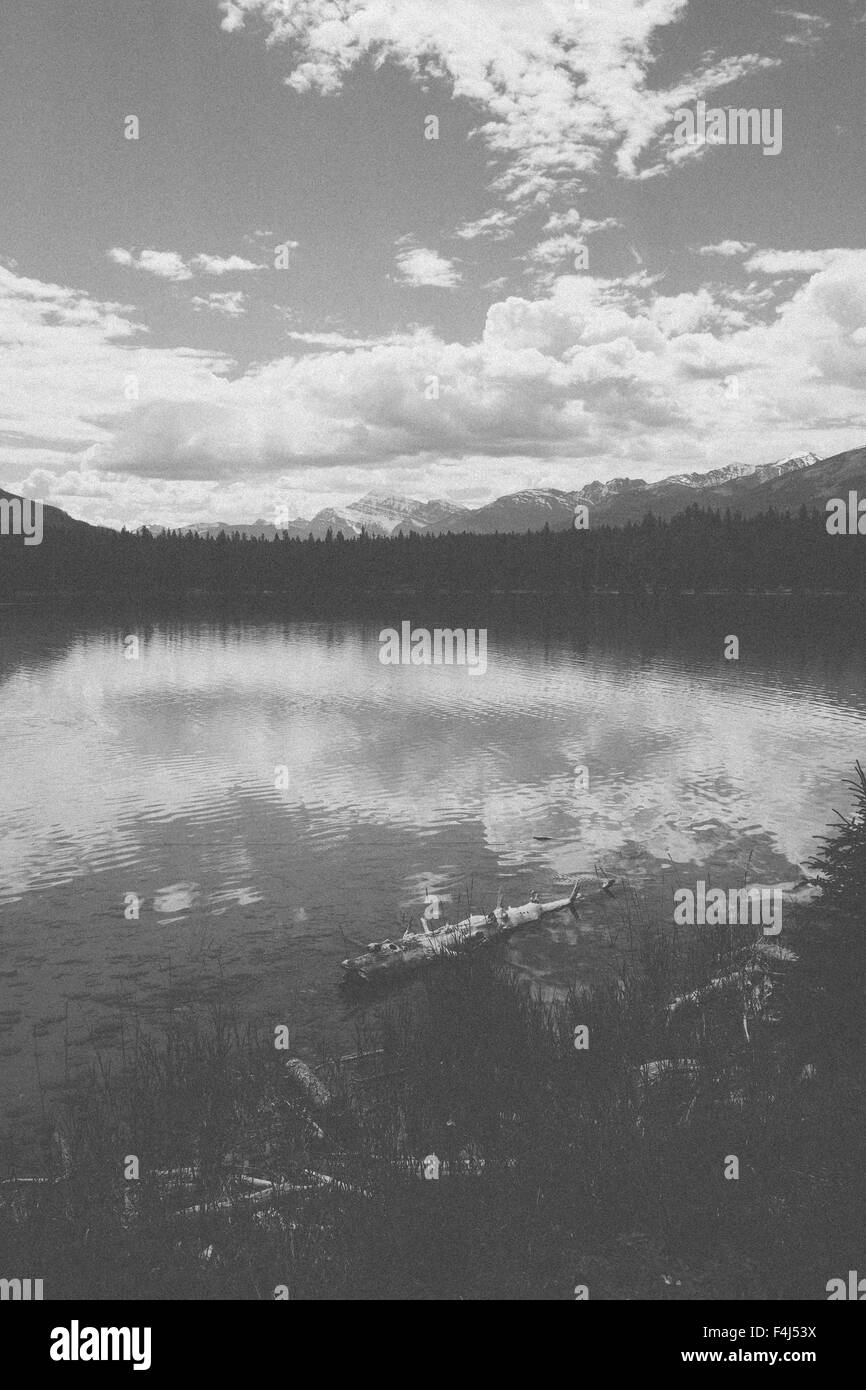 Paysage noir et blanc de Jasper, Canada Banque D'Images