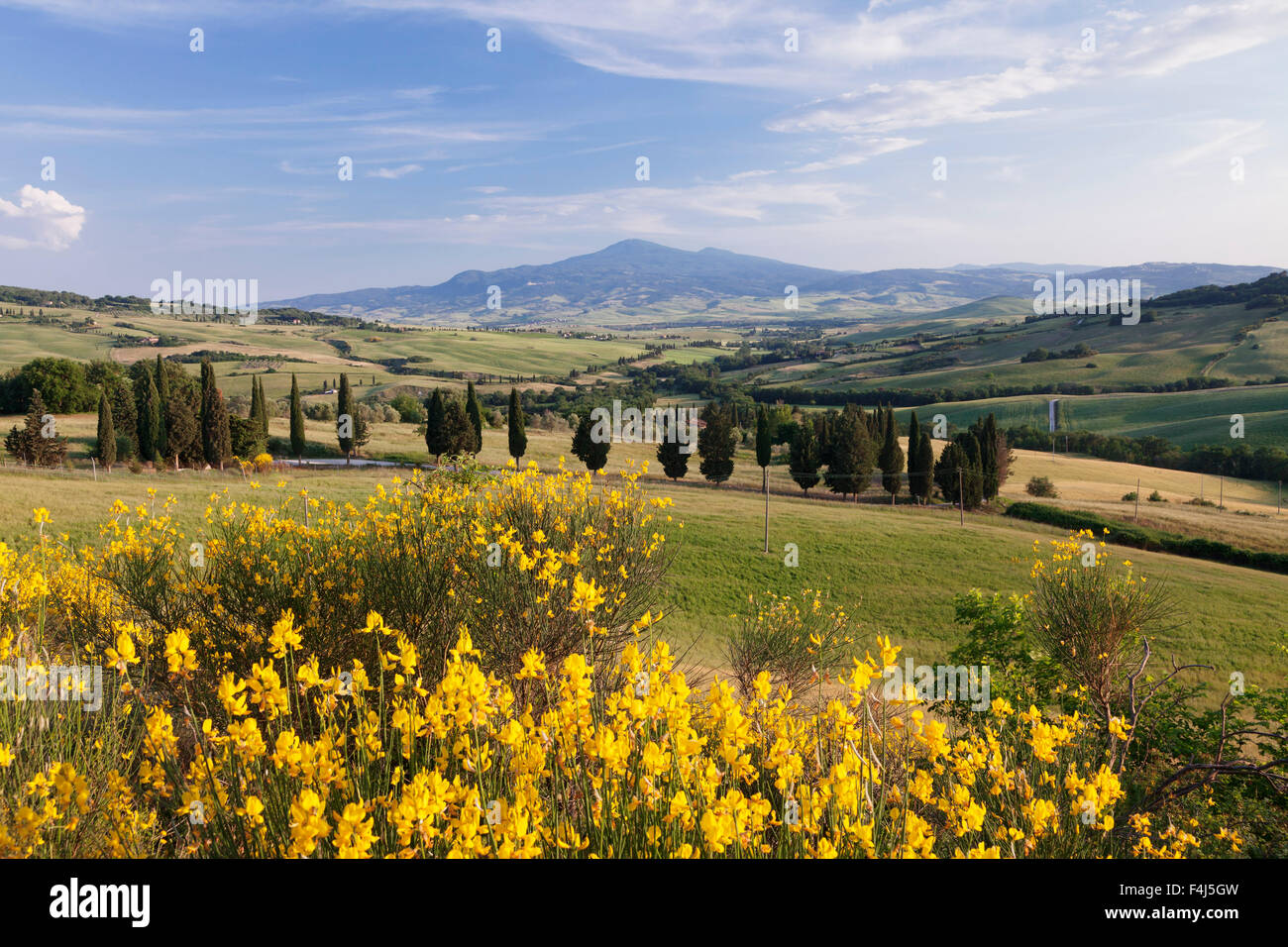 Paysage toscan avec Monte Amiata, près de Pienza, Val d'Orcia (Val d'Orcia), site du patrimoine mondial de l'UNESCO, la province de Sienne, Toscane Banque D'Images