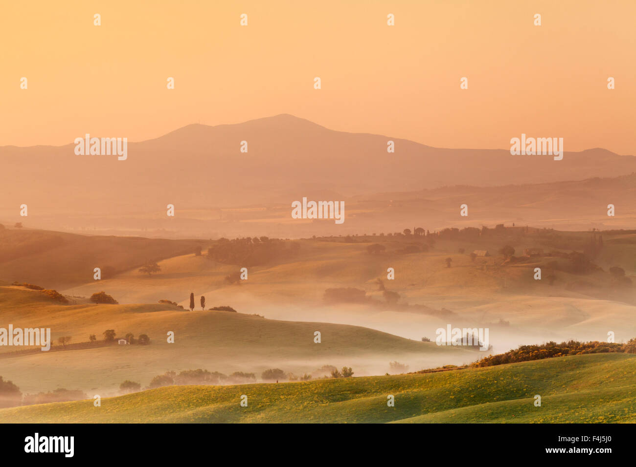 Lever du soleil à Val d'Orcia, près de San Quirico d'Orcia (Val d'Orcia), site du patrimoine mondial de l'UNESCO, la province de Sienne, Toscane, Italie Banque D'Images