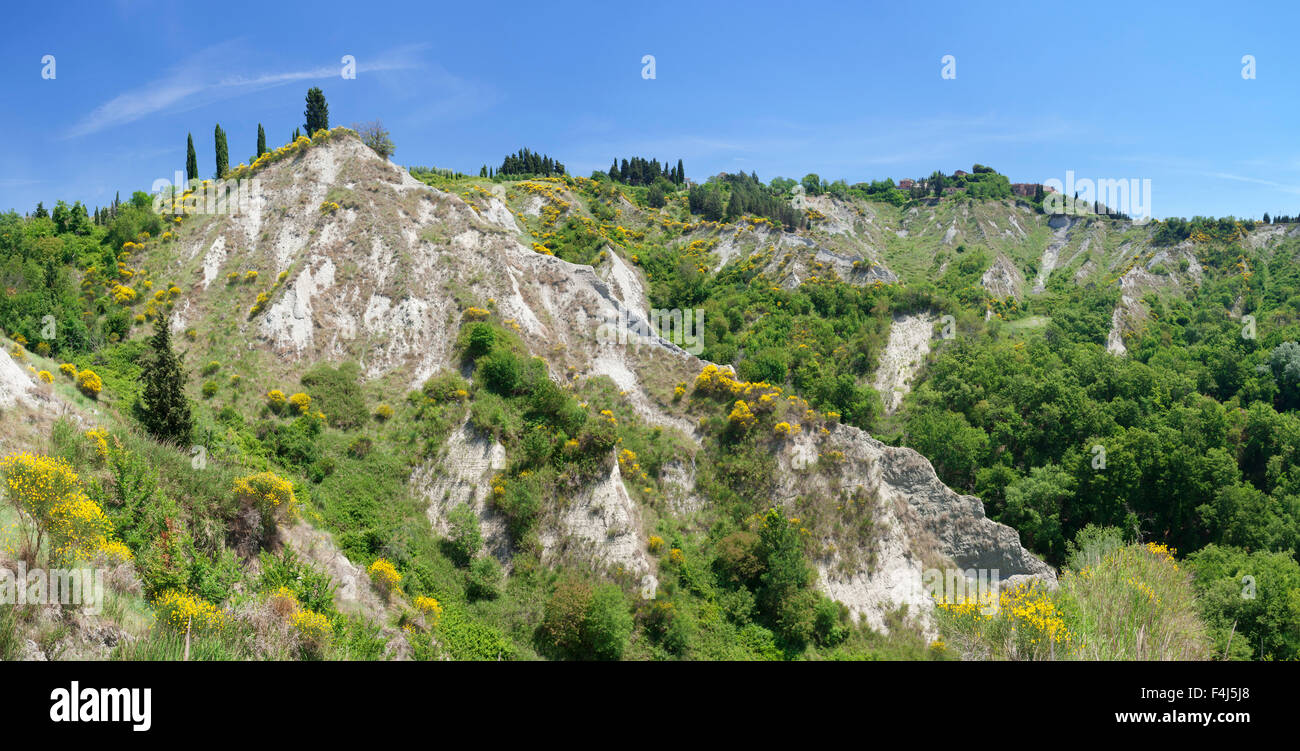 Paysage près de San Giovanni d'Asso, Province de Sienne, Toscane, Italie, Europe Banque D'Images