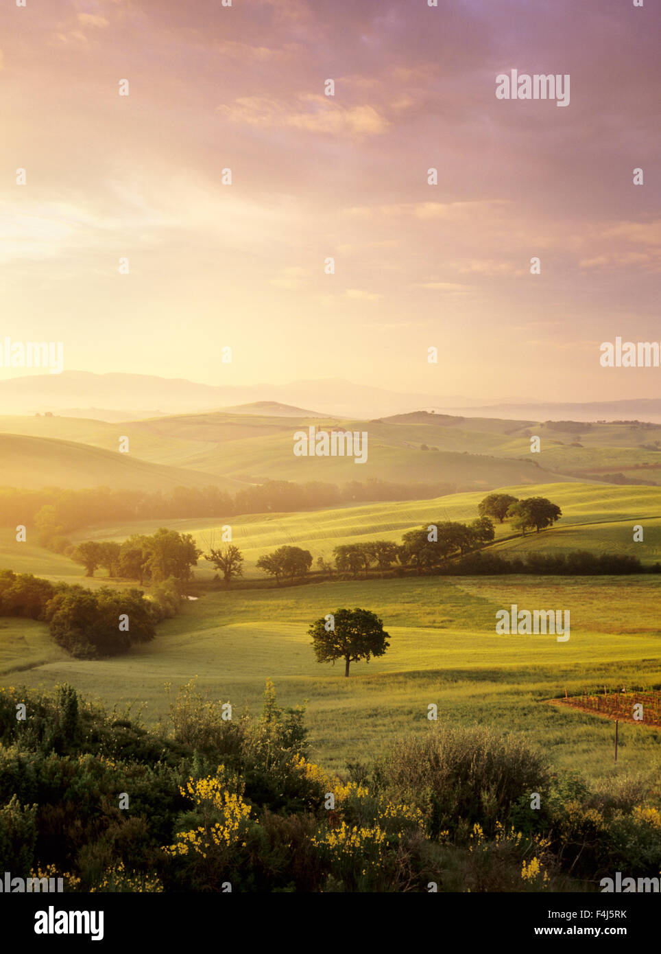 Lever du soleil à Val d'Orcia, près de San Quirico d'Orcia (Val d'Orcia), site du patrimoine mondial de l'UNESCO, la province de Sienne, Toscane, Italie Banque D'Images