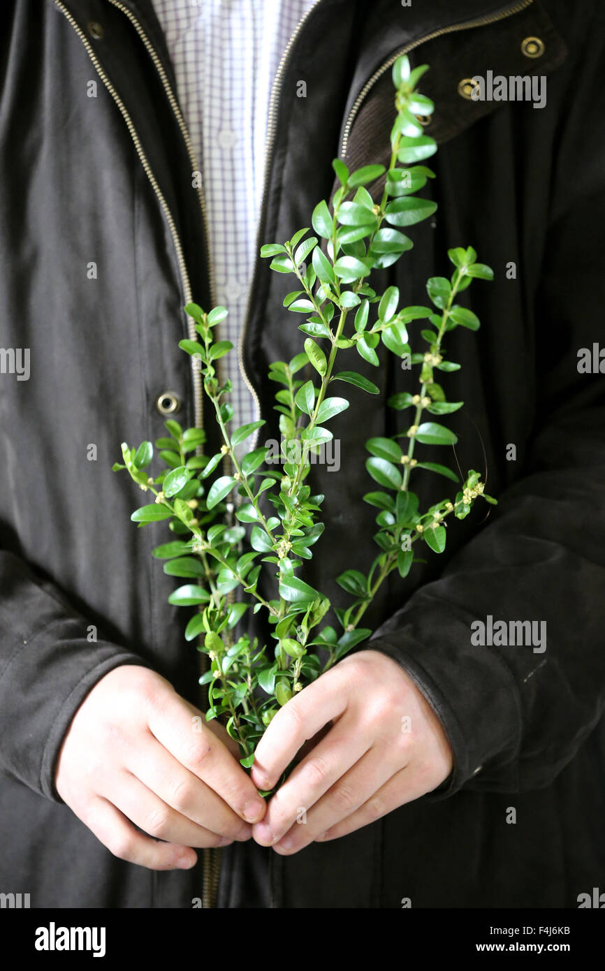 Dimanche des Rameaux, la Semaine Sainte, La Roche-sur-Foron, Haute-Savoie, France, Europe Banque D'Images