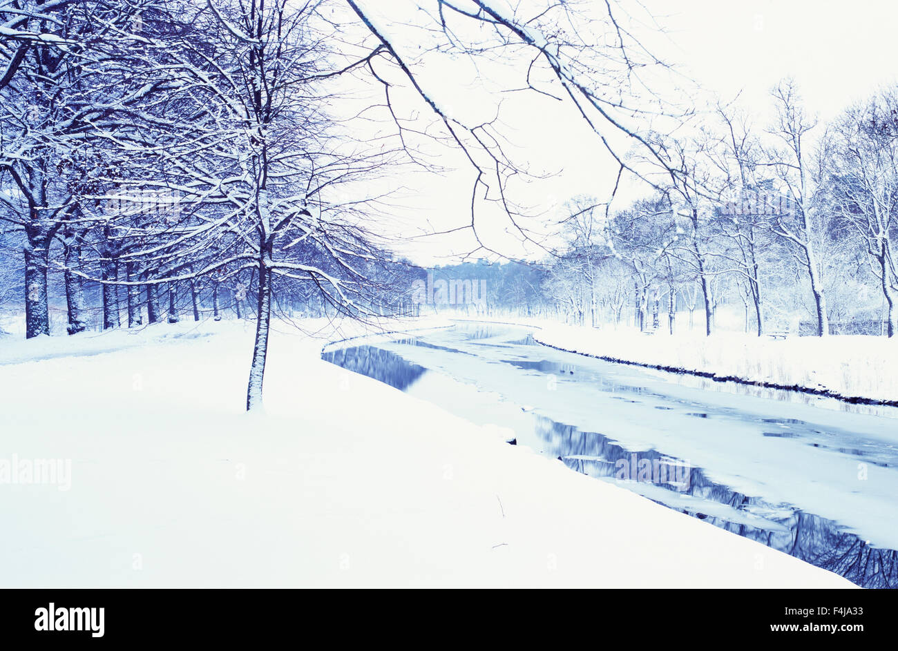 Parc avec un ruisseau en hiver Banque D'Images