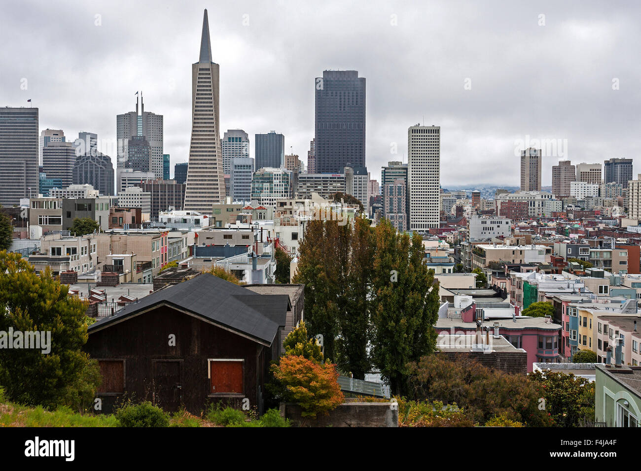 Avis de financial district de Telegraph Hill, Transamerica Pyramid derrière, San Francisco, California, USA Banque D'Images