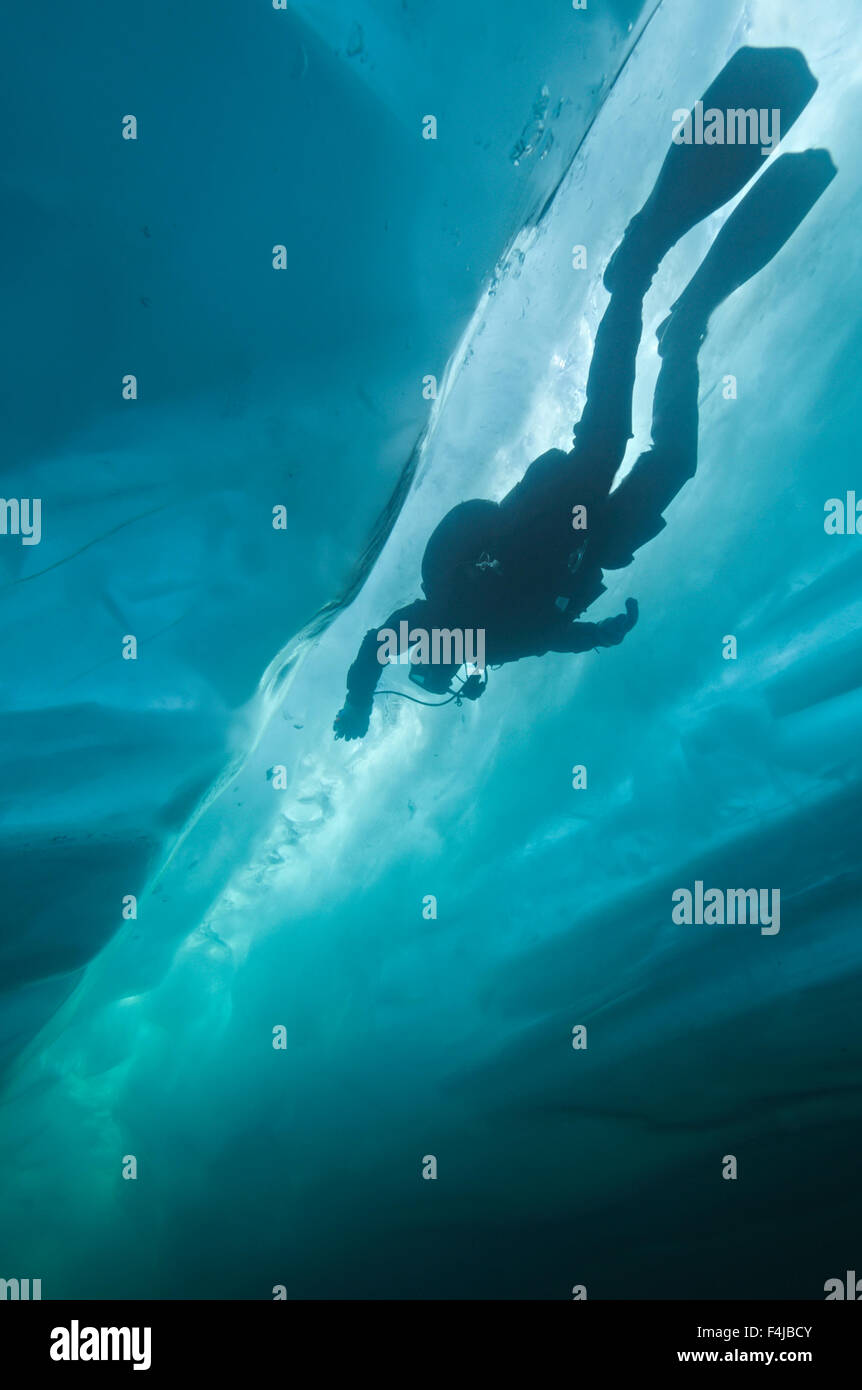 Exploration plongeur fissure dans la glace sous la surface, le lac Baïkal, en Russie, en avril 2013. Parution du modèle. Banque D'Images