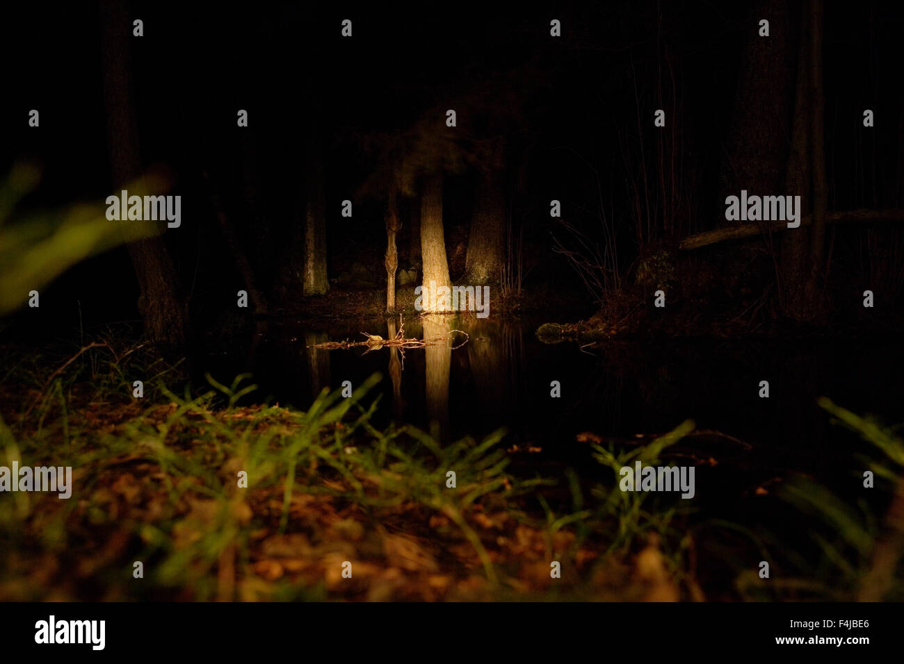 Un petit simple dans la nuit, la Suède. Banque D'Images