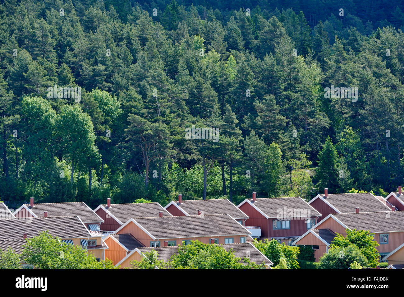 La Scandinavie, la Suède, Vastergotland, maisons de banlieue avec forêt en arrière-plan Banque D'Images