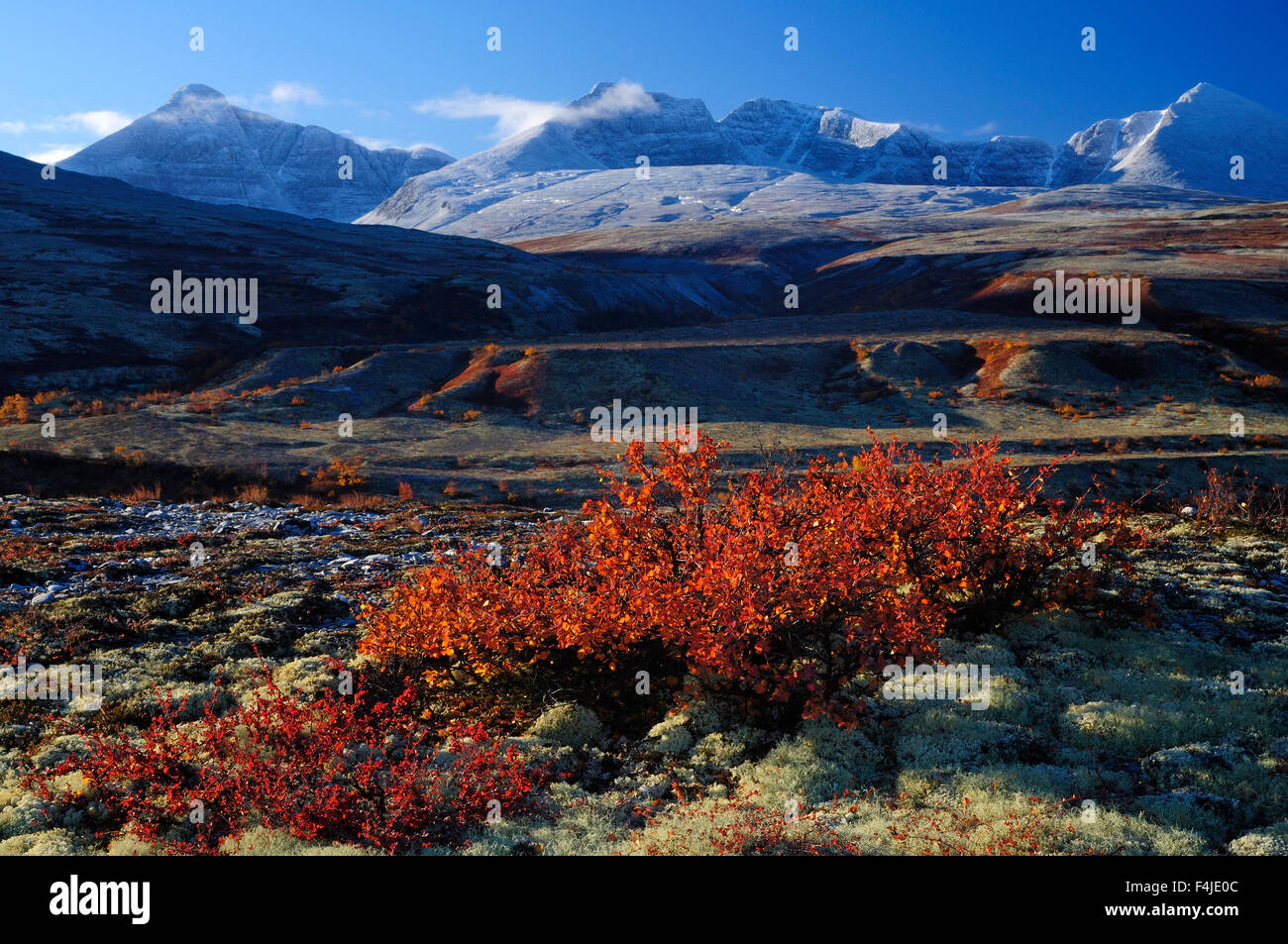 La Scandinavie, la Norvège, View of landscape Banque D'Images
