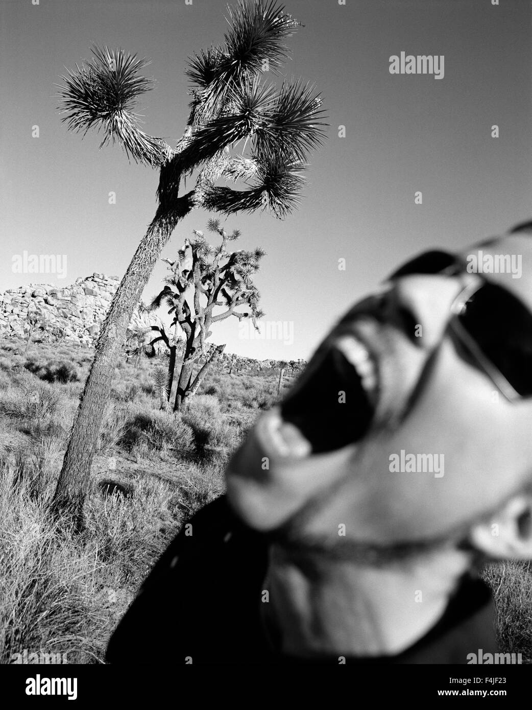 Man screaming in park Banque D'Images