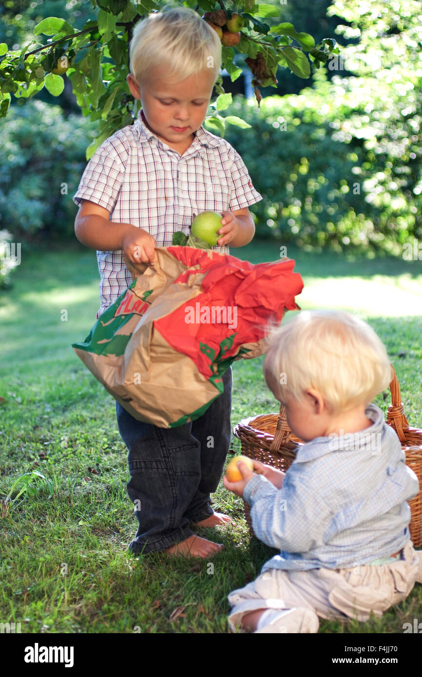 Deux garçons holding apples in orchard Banque D'Images