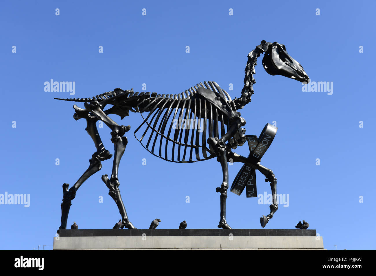 Quatrième sculpture plinthe, Don cheval par Hans Haacke à Trafalgar Square, Londres, Angleterre, Royaume-Uni Banque D'Images