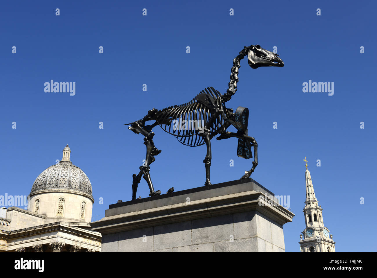 Quatrième sculpture plinthe, Don cheval par Hans Haacke à Trafalgar Square, Londres, Angleterre, Royaume-Uni Banque D'Images