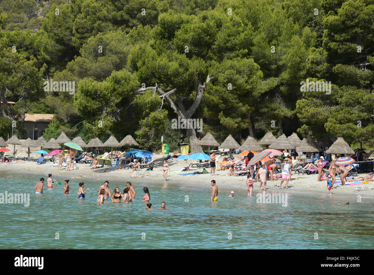 La plage de Formentor, Majorque ou Mallorca, Espagne Banque D'Images