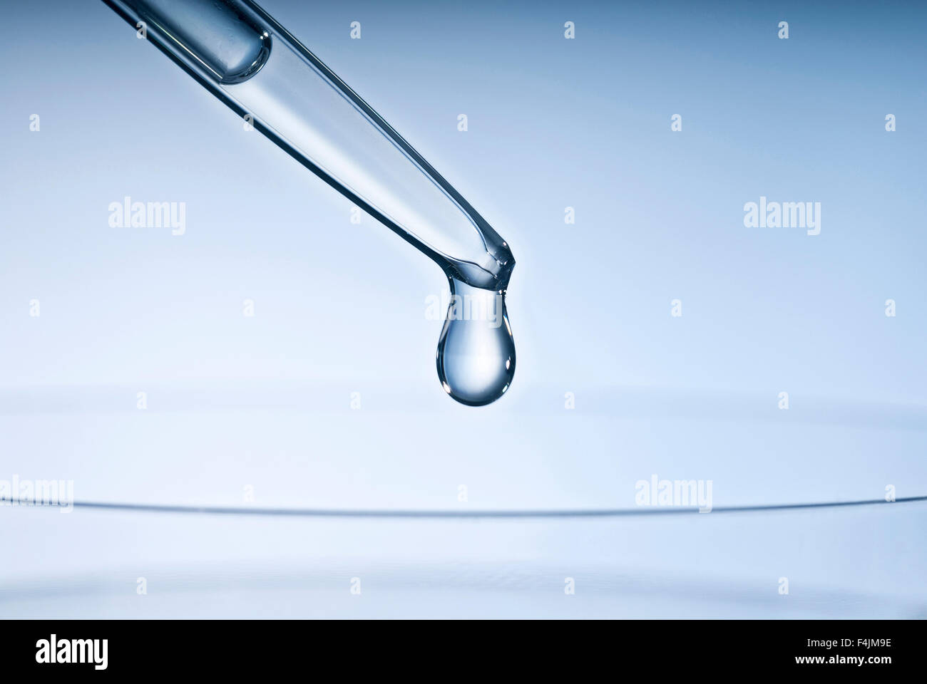 Avec une pipette, déposer et pétri. Banque D'Images