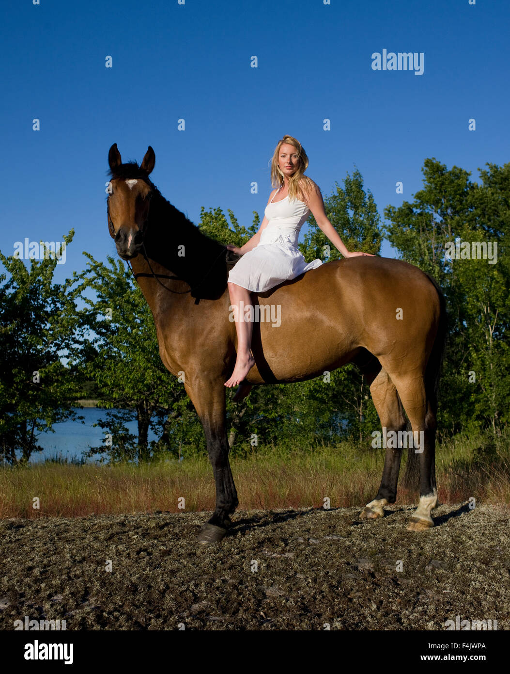 Femme assise sur le cheval, portrait Banque D'Images