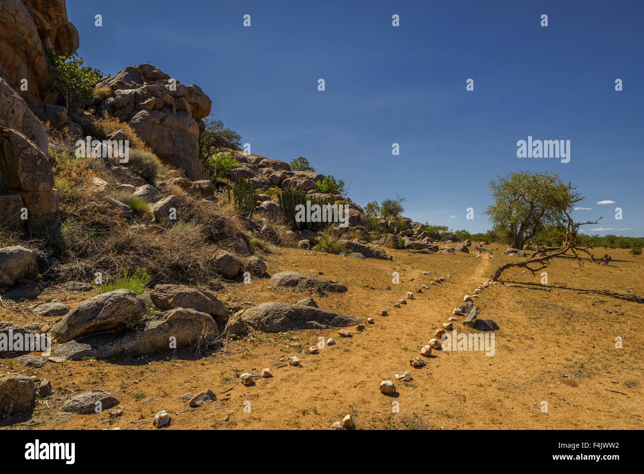 Paysage par Etendeka Mountain Camp, Namibie, Afrique Banque D'Images