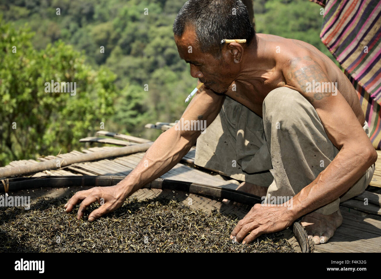 La Loi de l'homme accroupi séchage tribu thé dans un panier plat, Wun Nyat village, l'État de Shan, Myanmar Banque D'Images