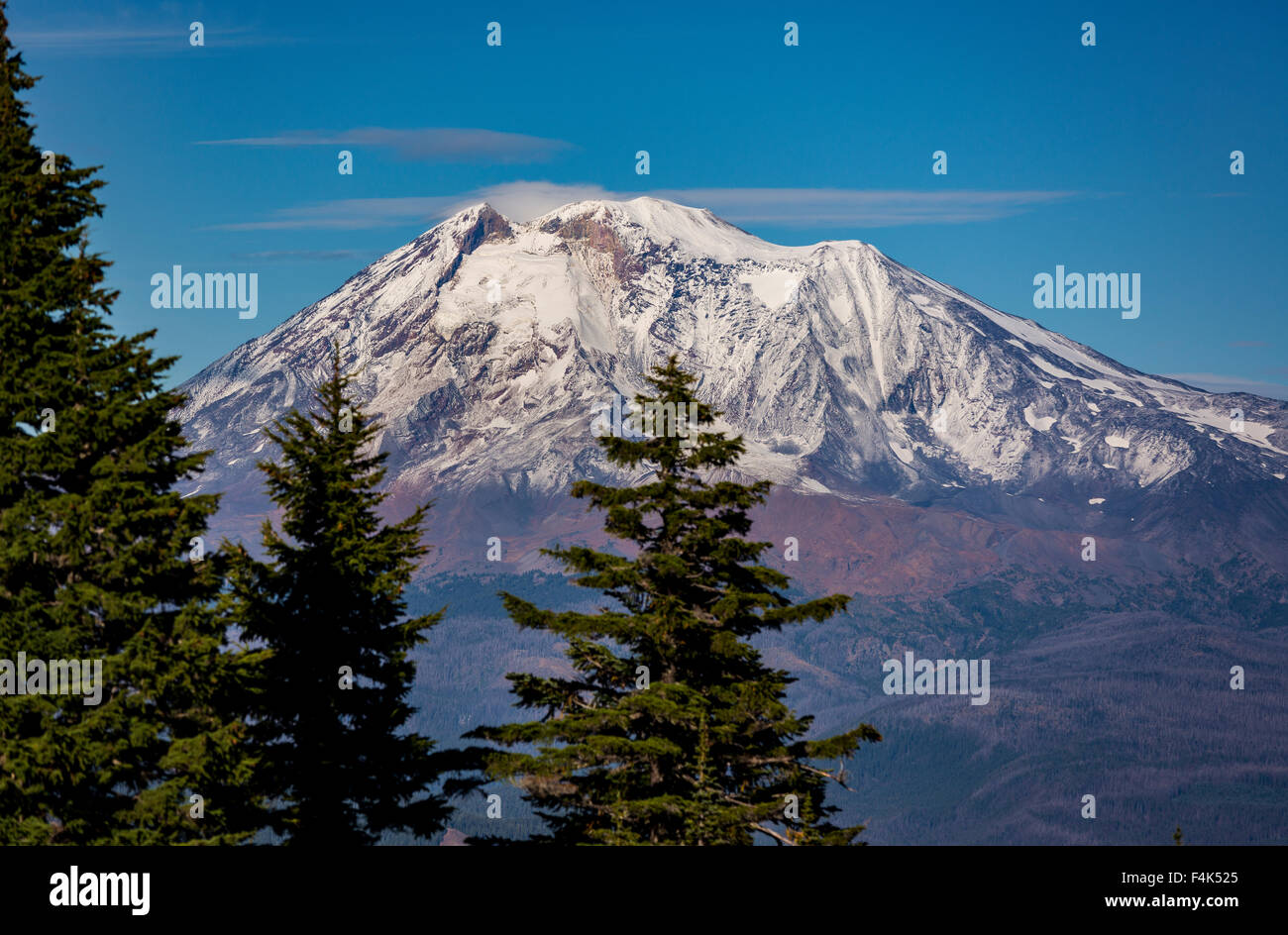 GIFFORD Pinchot National Forest, North Carolina, USA - Mont Adams, d'une altitude de 12 281 ft (3 743 m), la montagne, des cascades de glace Banque D'Images