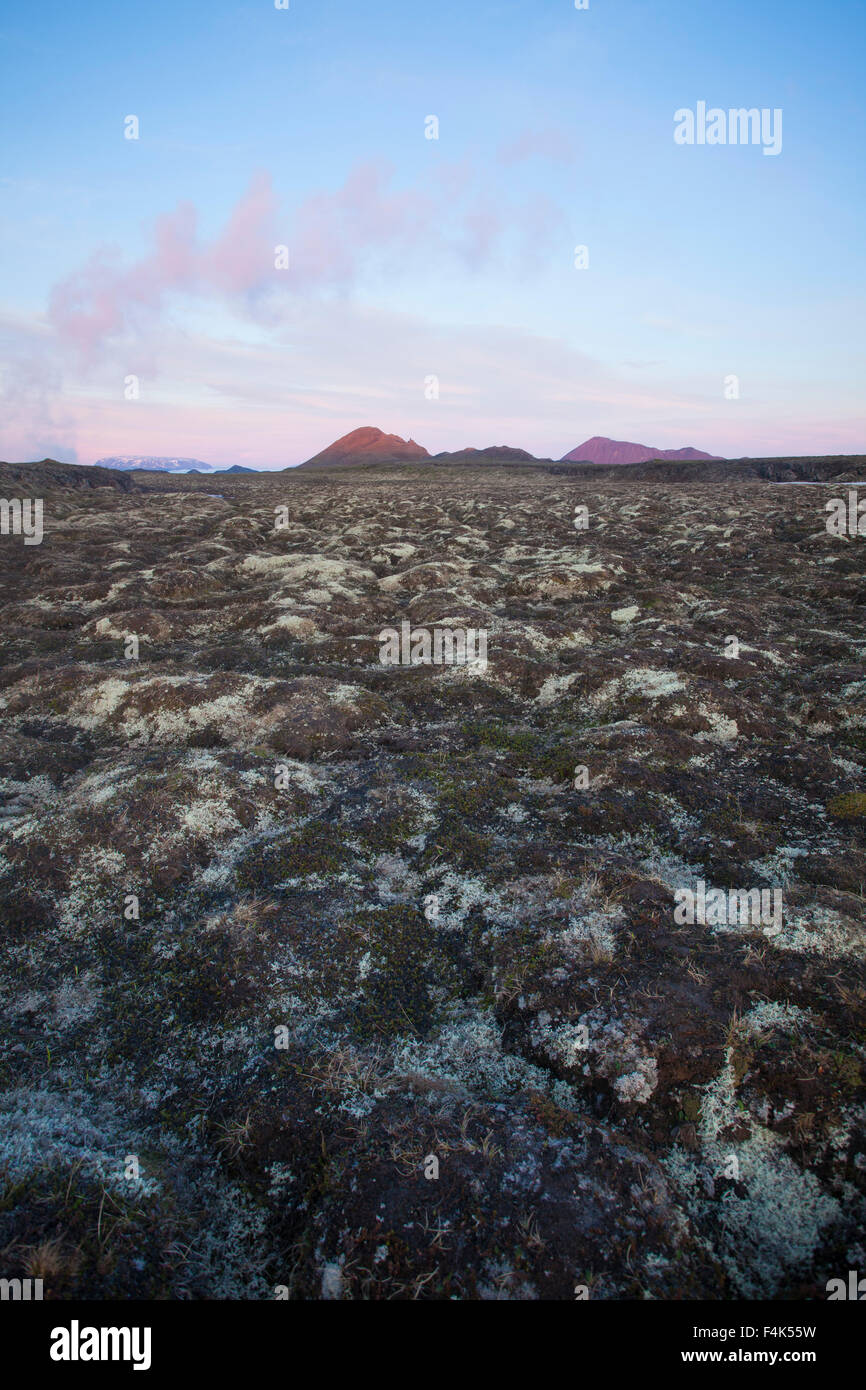 Couvert de mousse sur l'aube de la lave, volcan Krafla, 73320 Nordhurland Eystra, Islande. Banque D'Images