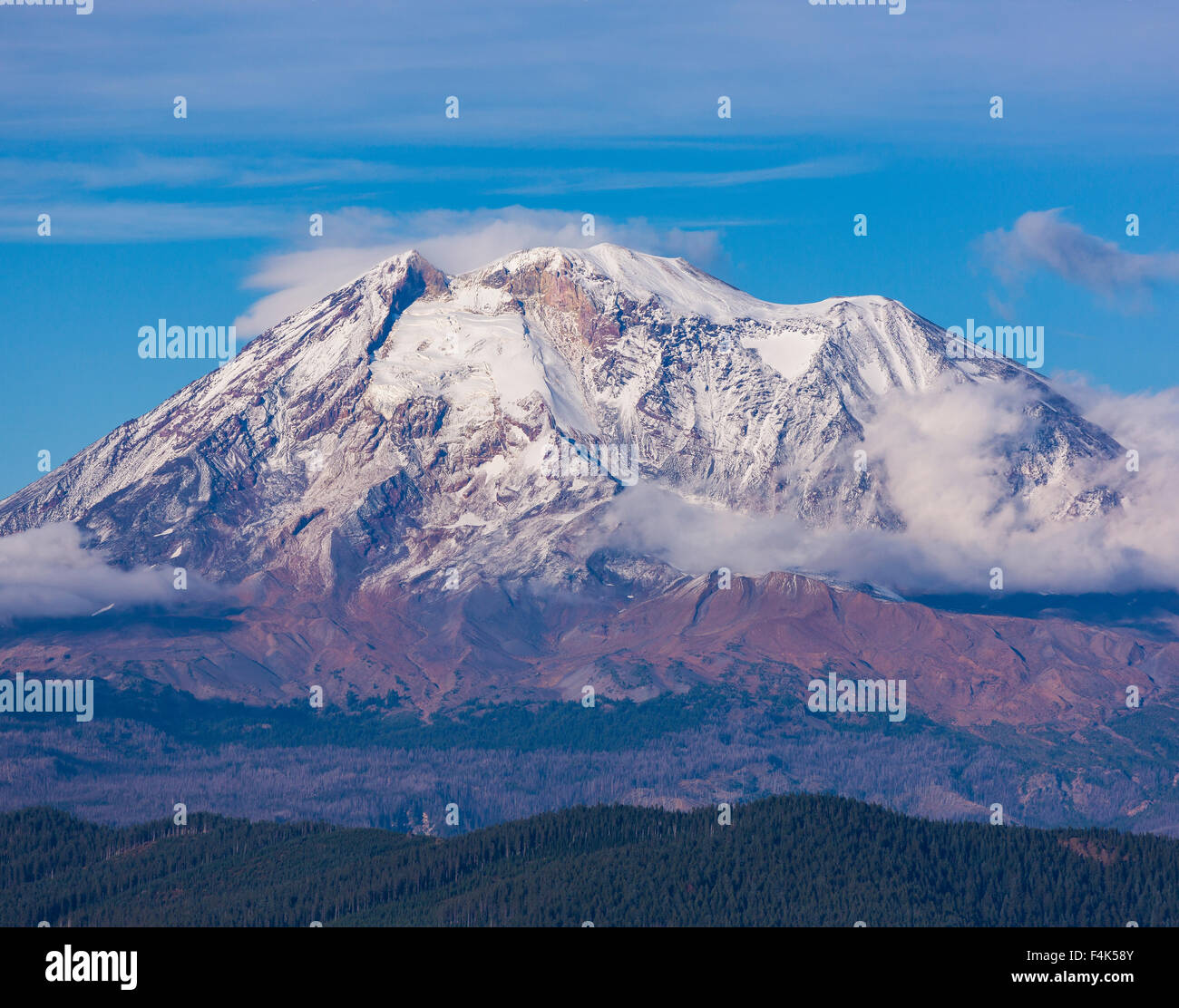 GIFFORD Pinchot National Forest, North Carolina, USA - Mont Adams, d'une altitude de 12 281 ft (3 743 m), randonnée dans la chaîne des Cascades. Banque D'Images