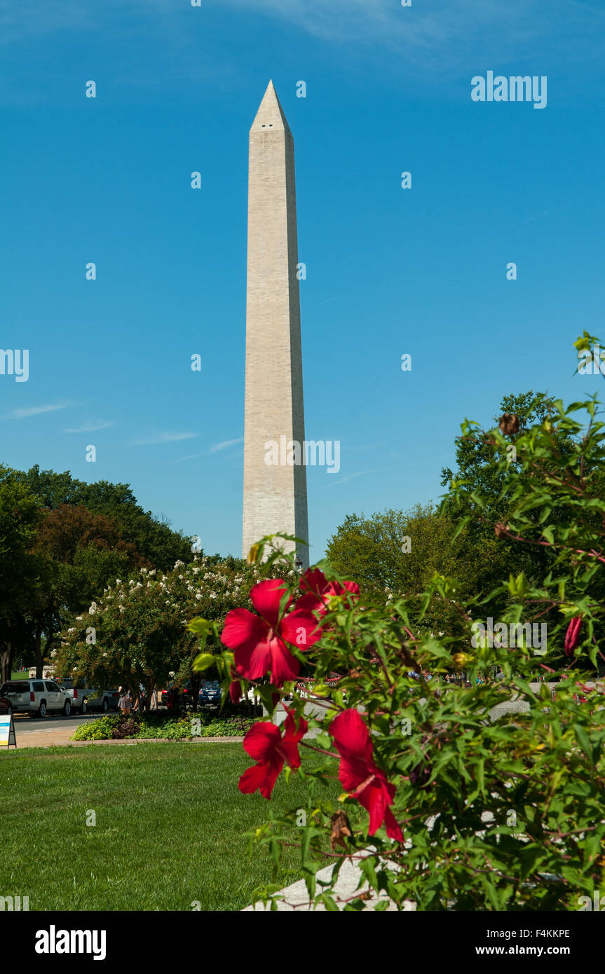 Le Monument de Washington, Washington DC, USA Banque D'Images