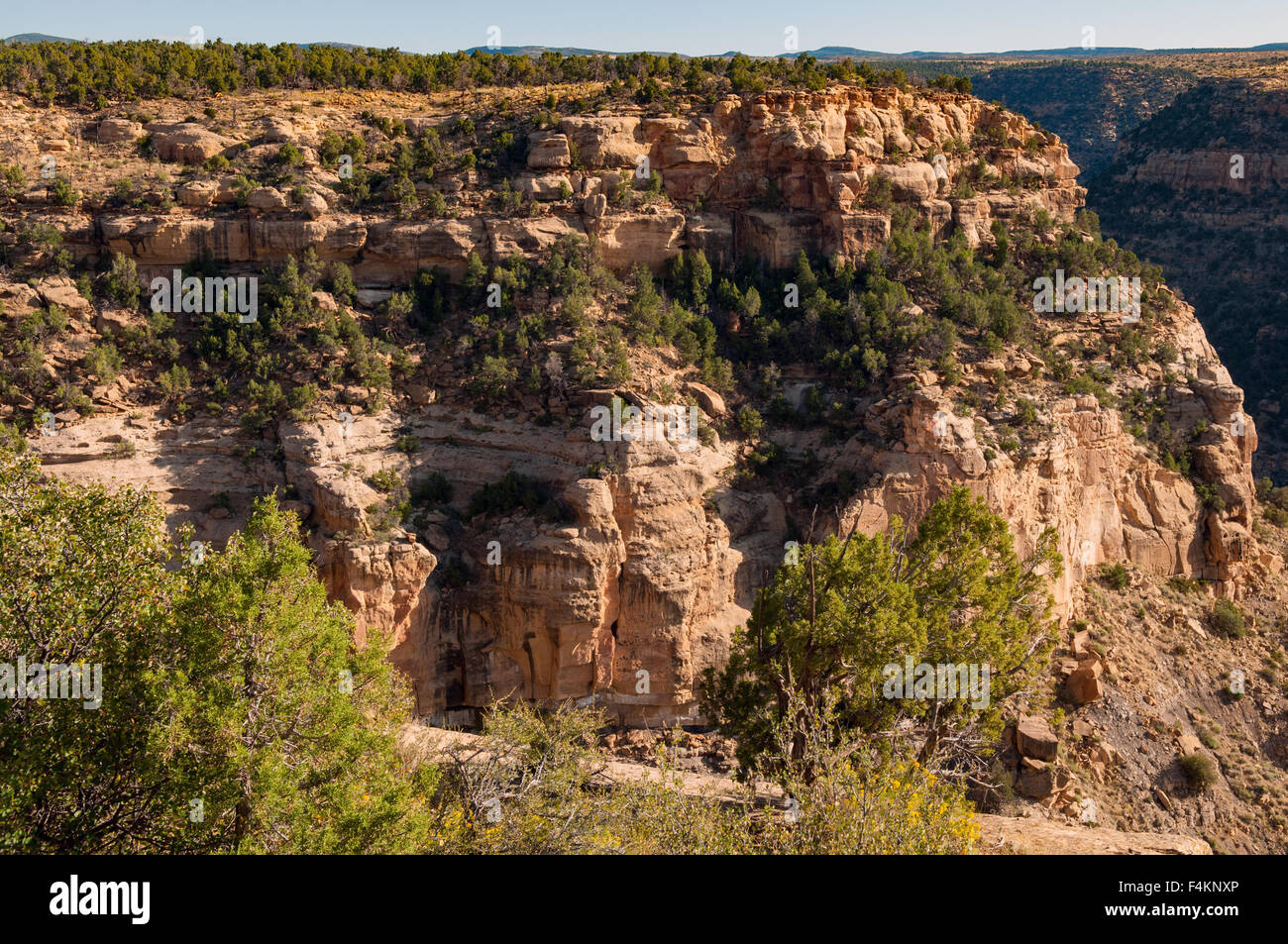 Balcon de la tour, Mesa Verde NP, Colorado, USA Banque D'Images