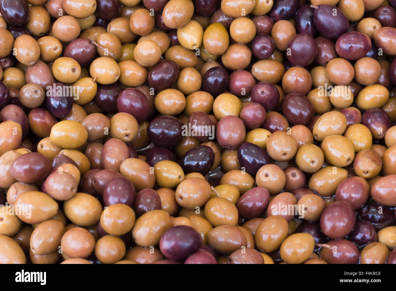 L'Italie, Piémont, Fiera del Tartufo di Alba : les olives. Banque D'Images