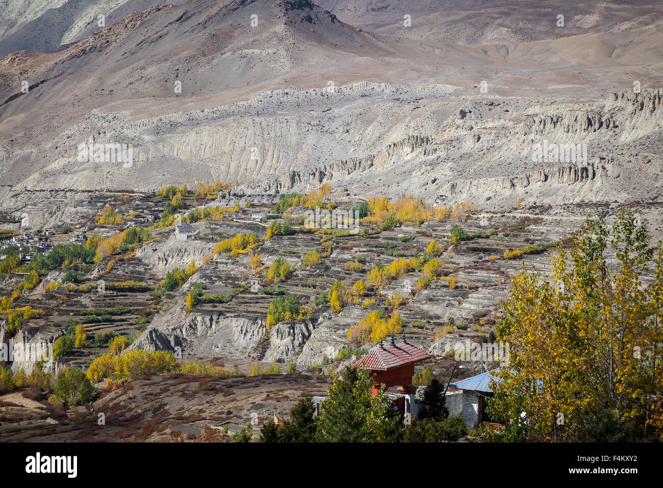 Paysage avec des couleurs d'automne, Muktinath, Mustang, au Népal. Banque D'Images