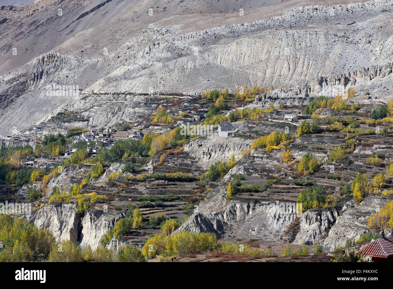 Paysage avec des couleurs d'automne, Muktinath, Mustang, au Népal. Banque D'Images