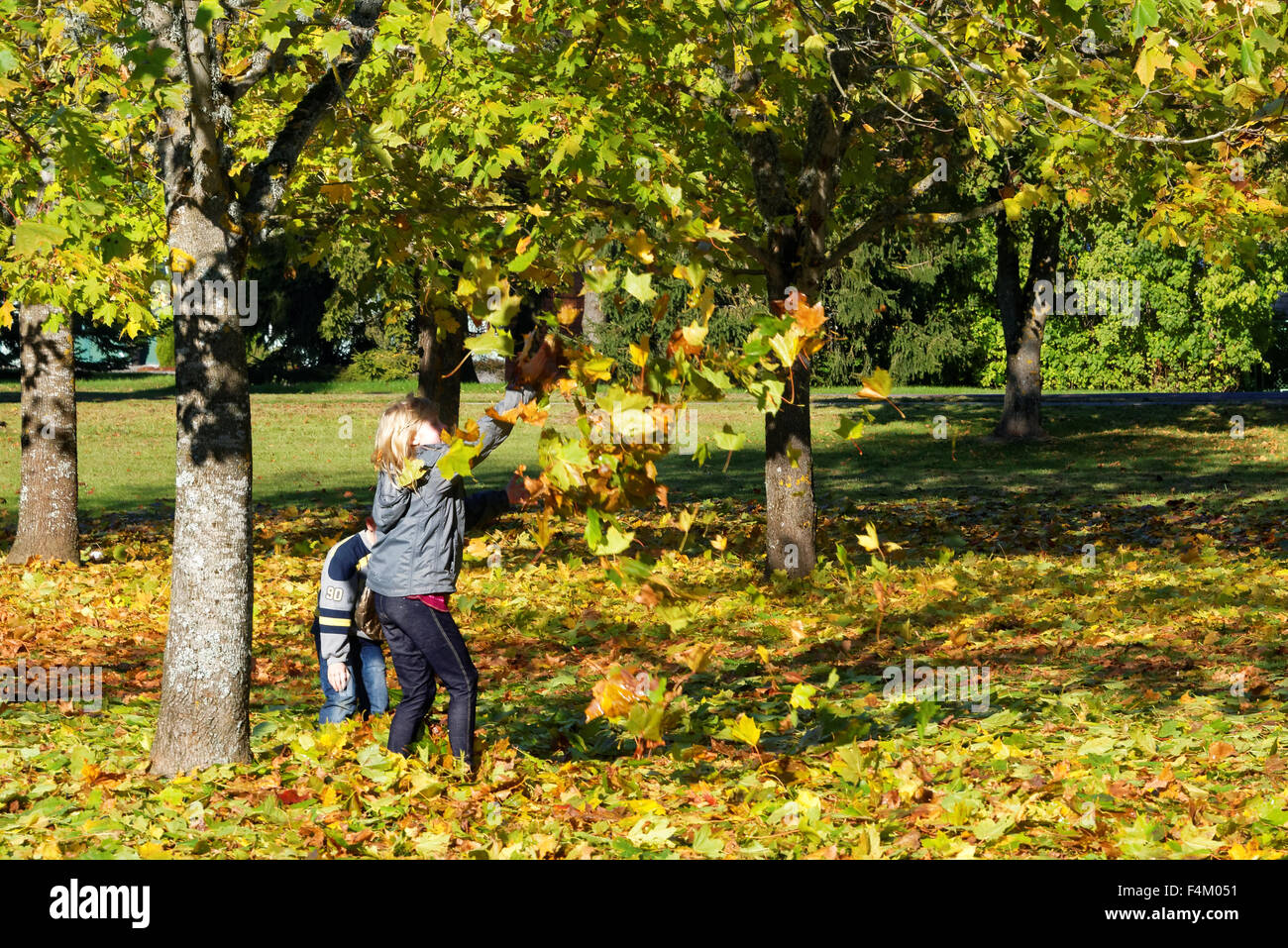 Enfants jouant avec des feuilles d'érable tombé à terre en octobre. Banque D'Images