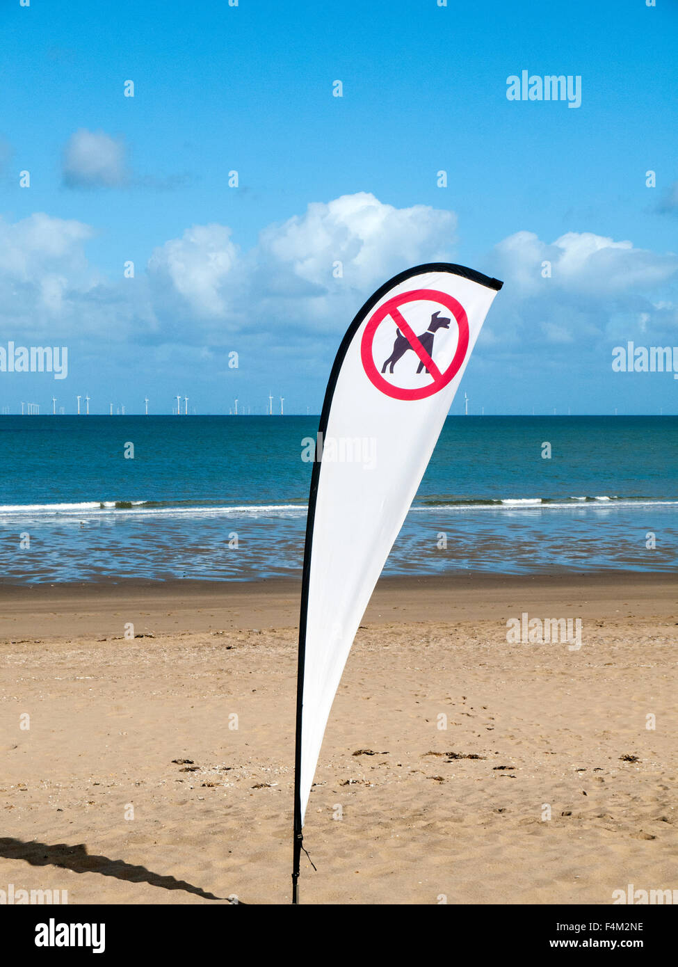 D'un drapeau indiquant, pas de chiens à haute voix sur la plage, UK Banque D'Images