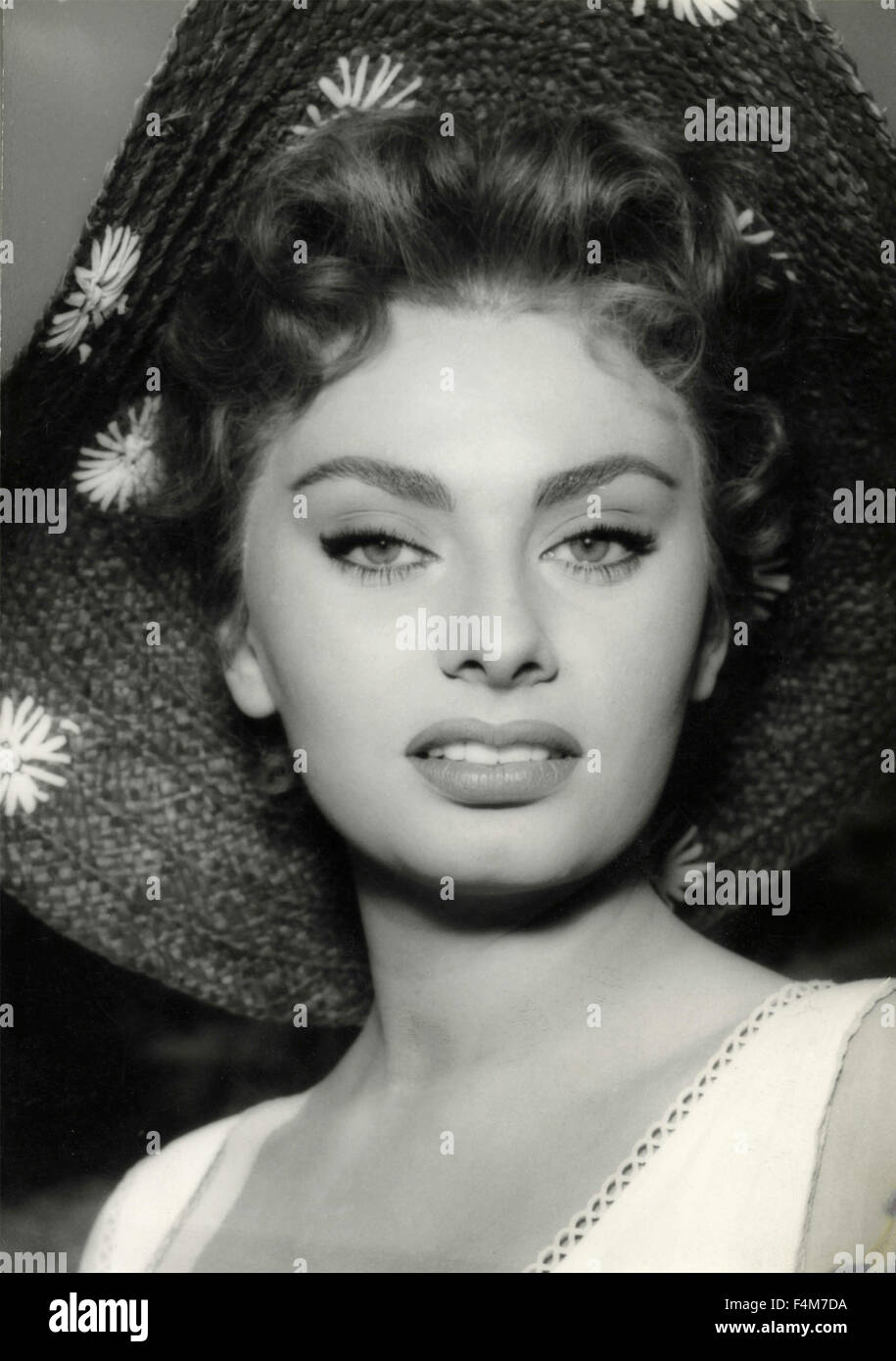 L'actrice italienne Sophia Loren Banque D'Images