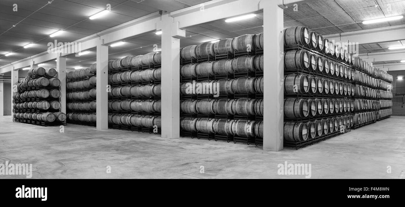 Des tonneaux de vin dans un processus de vieillissement à l'espagnol en noir et blanc de la cave Banque D'Images