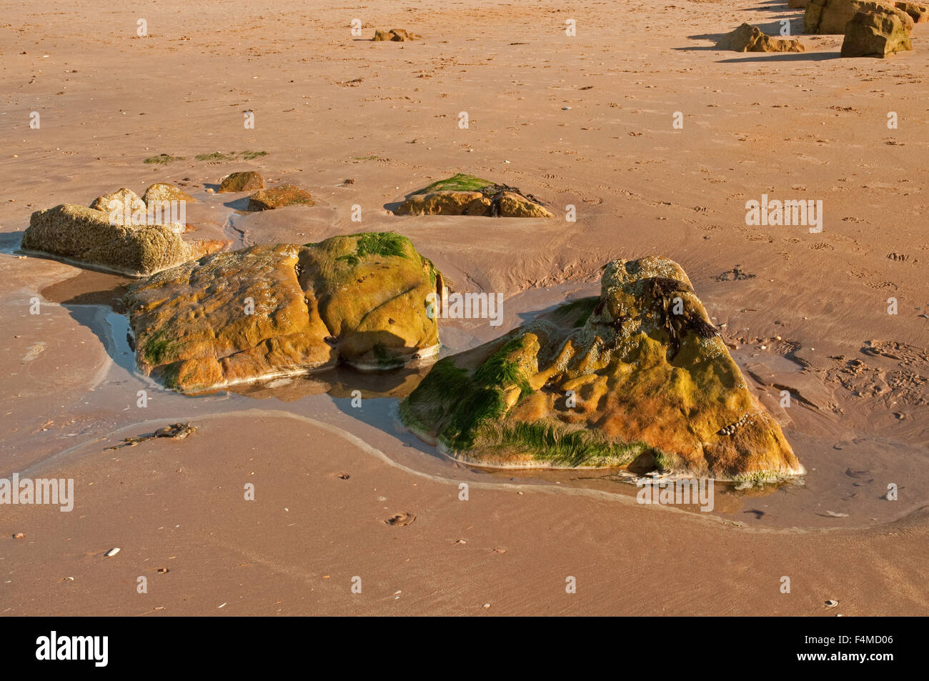 Les roches et Rockpools sur Bouaye Beach Banque D'Images