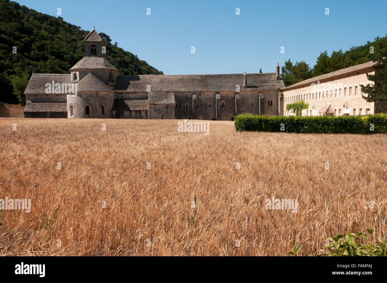 Abbaye Notre Dame de Sénanque Ordre Cistercien Gordes Departement Vaucluse France Europe Banque D'Images