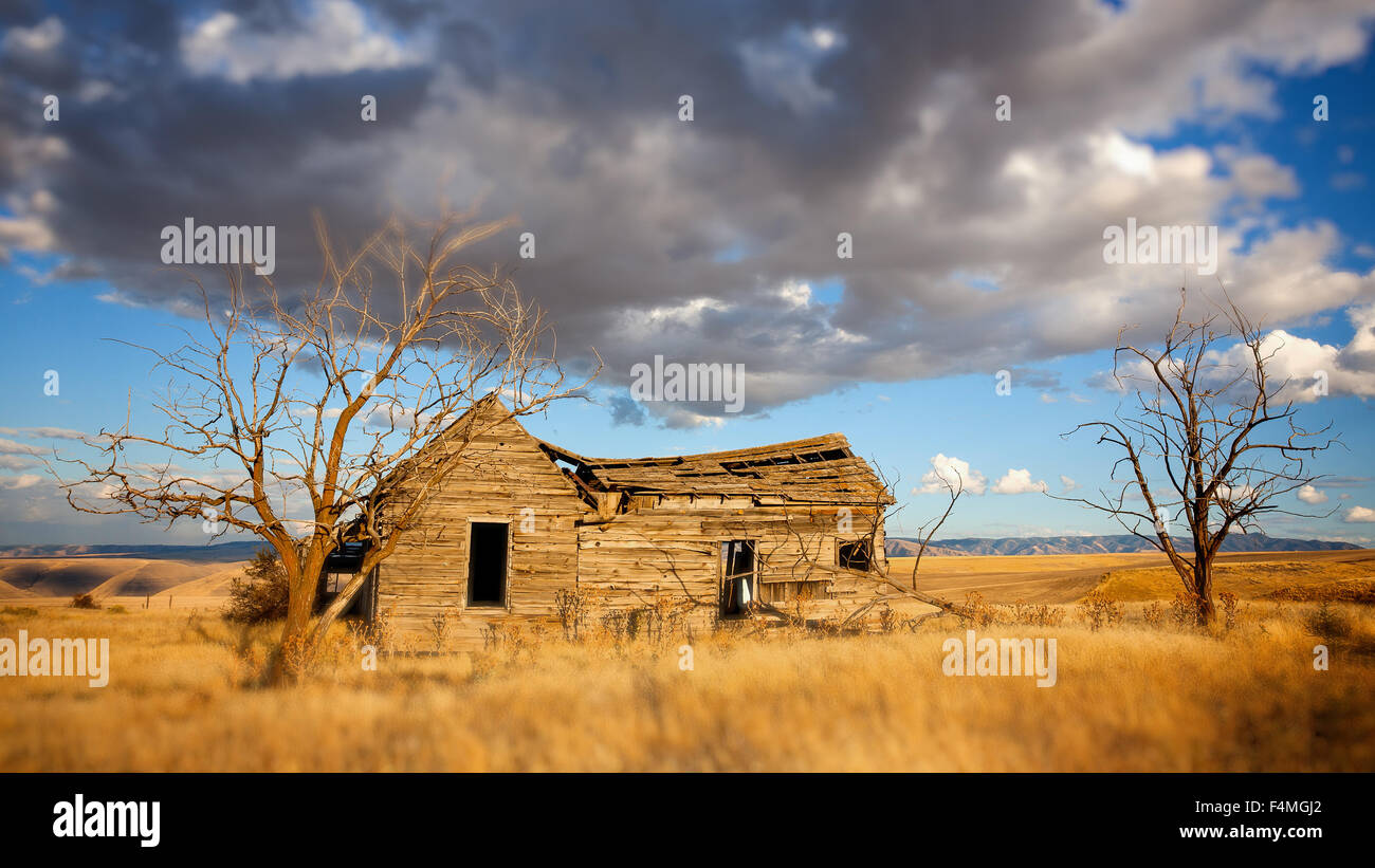 Nuages et un vieux fermier, abandonnés dans l'Est de l'habitacle l'état de Washington Banque D'Images