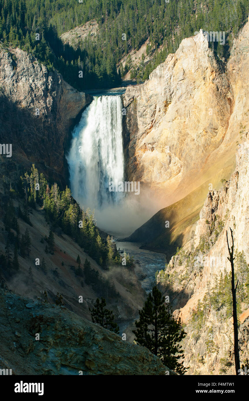 Lower Falls, Grand Canyon, Yellowstone NP, Wyoming, USA Banque D'Images