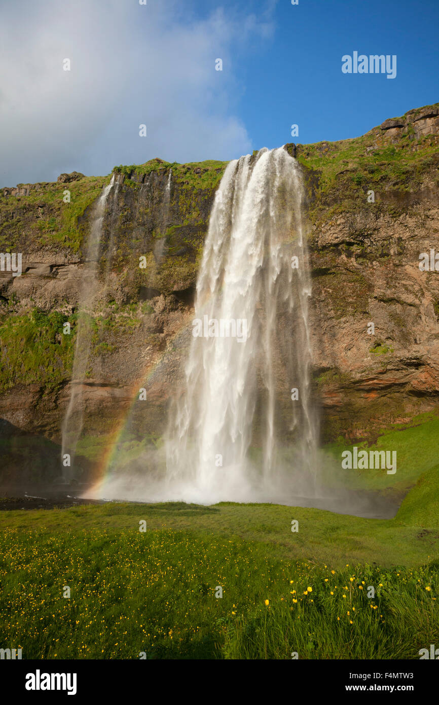 60m de haut, la cascade de Seljalandsfoss Sudhurland, Islande. Banque D'Images