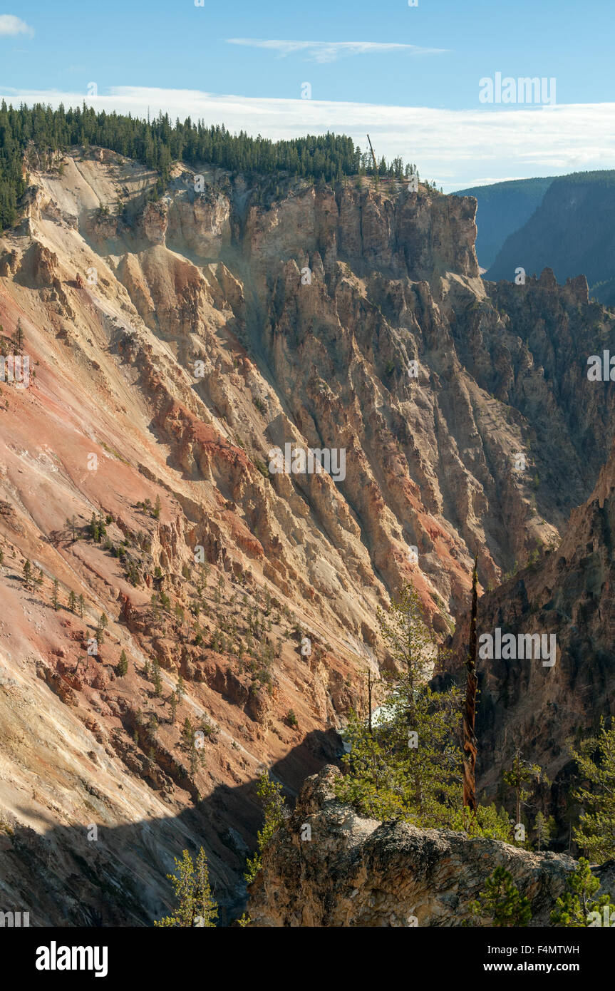 Artist's Point, Grand Canyon, Yellowstone NP, Wyoming, USA Banque D'Images