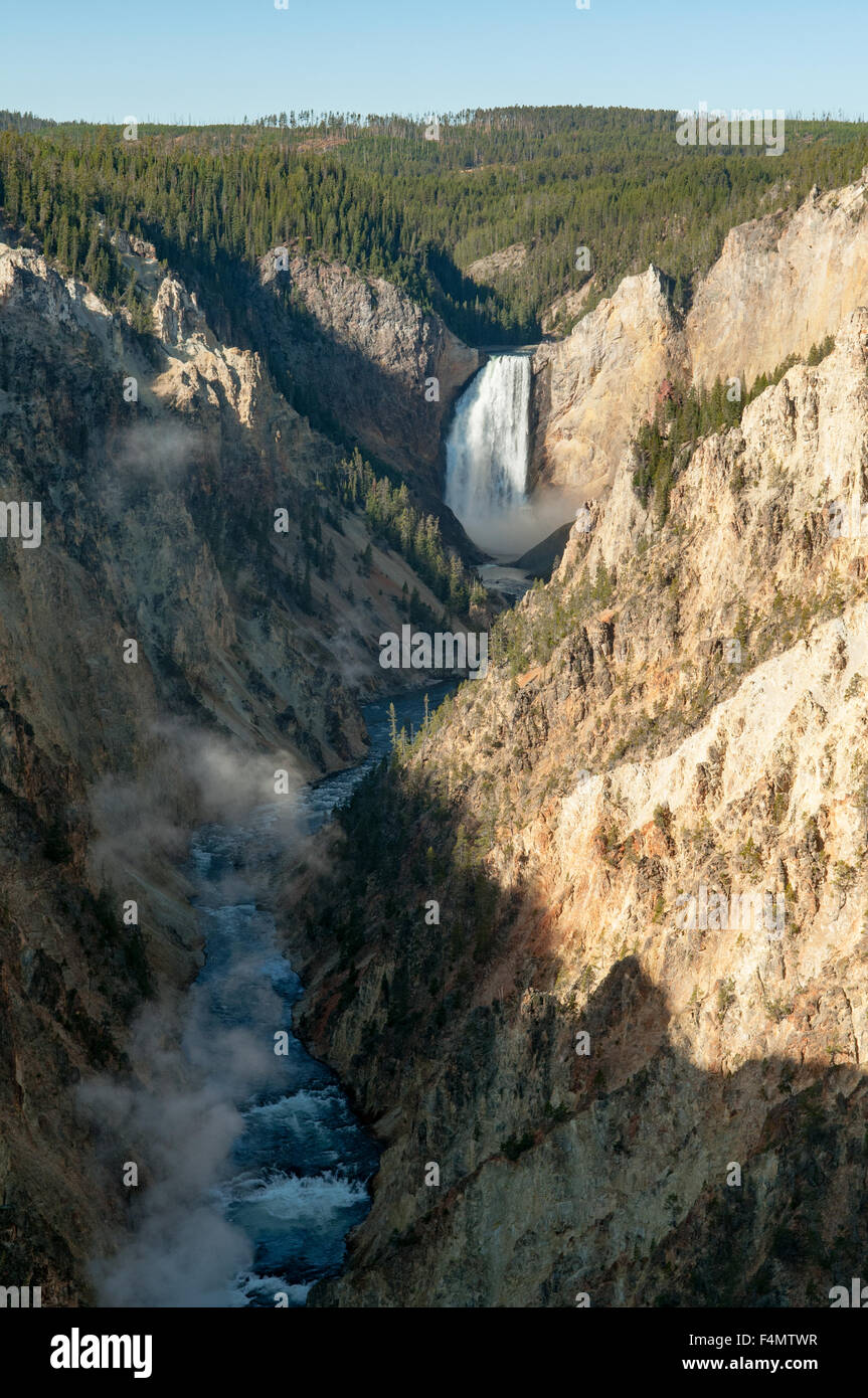 Lower Falls, Grand Canyon, Yellowstone NP, Wyoming, USA Banque D'Images