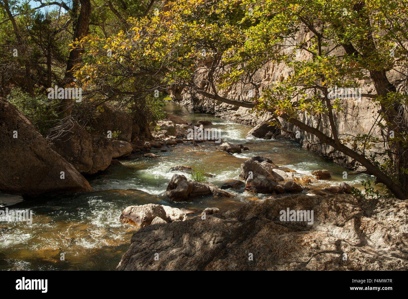 Shell Creek, Bighorn Mountains, Wyoming, USA Banque D'Images