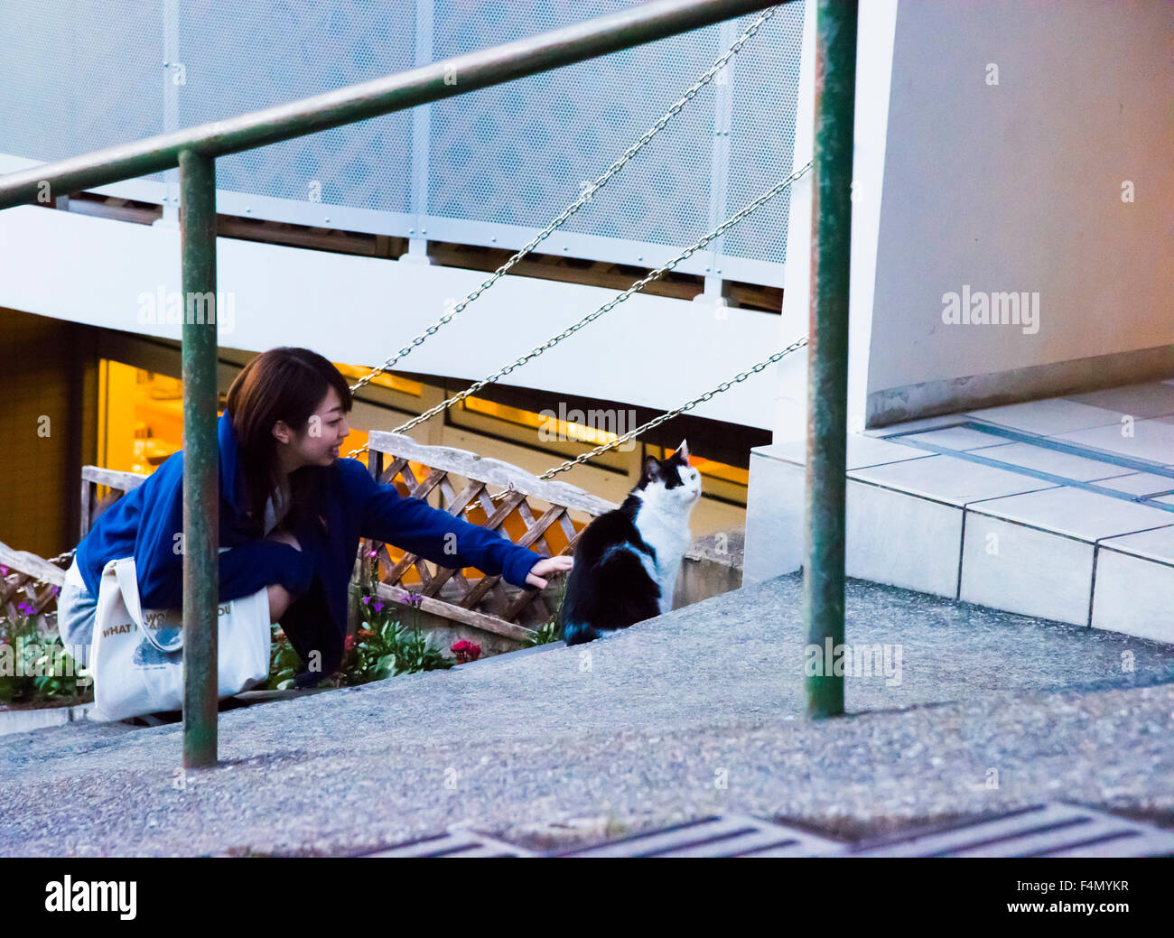 Yuyake dandan,Yanaka Ginza,Taito Ku-,Tokyo,Japon. Banque D'Images